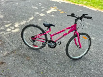 triumph bicycle in All Categories in Canada | Kijiji Marketplaces