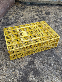 Chicken crates 