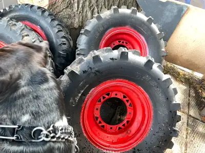 Hey I have a set of bear claw quad tires on rims for sale asking 100 obo their only used for a coupl...