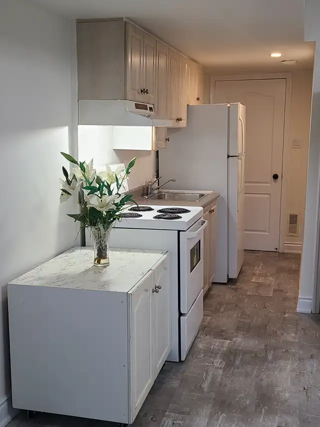 MUST SEE! Bright Walk-Out Bachelor | Steps to Cooksville GO | Long Term ...