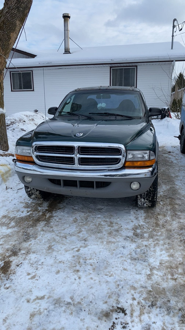 1999 Dodge Dakota 4x4 v8 in Cars & Trucks in Kingston - Image 4