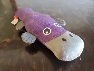 Peluche pour chat ou chien en forme d'ornithorynque, View more