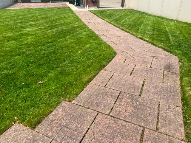 Professional Lawn Mowing/Grass cutting Services in Lawn, Tree Maintenance & Eavestrough in City of Toronto - Image 6