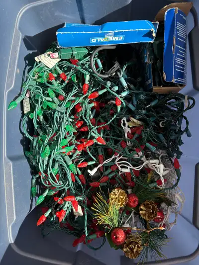 Bin of Christmas lights. LED and Incandescent and some other Christmas stuff. It’s all yours.