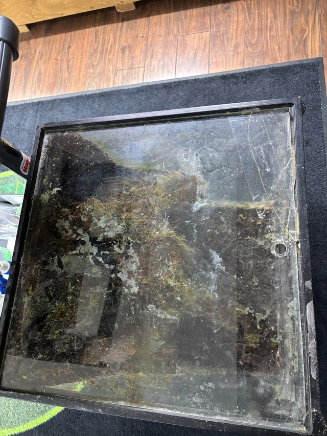 Exo Terra Dart Frog Enclosure in Reptiles & Amphibians for Rehoming in Kawartha Lakes - Image 4