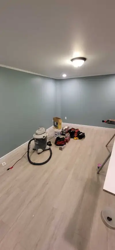 18 years of carpentry experience Demolition, junk/debris removal, framing, insulation/vapour barrier...