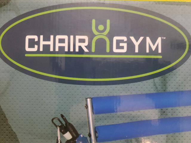 Chair Gym in Exercise Equipment in St. Catharines