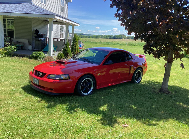 2002 Mustang GT in Cars & Trucks in Barrie
