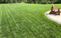 Gardening, landscaping , kentucky blue grass install 437 8818280