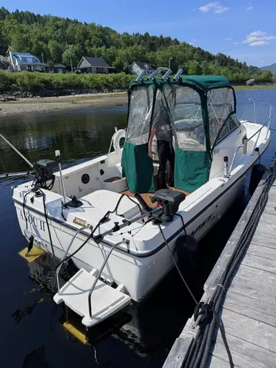 Mes deux plus belles années sur l'eau avec ce bateau. Parfait pour la pêche, les balades en famille,...