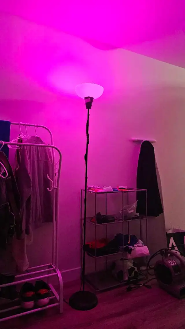 Floor Lamp508096660154634241