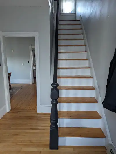 Looking for a quiet and clean roomate to share a 2 bed 1 bath house with beginning Feb 1st - Ideally...