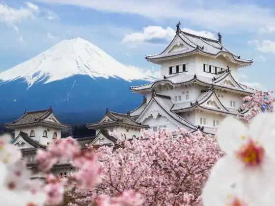 Asian friendship and culture sharing