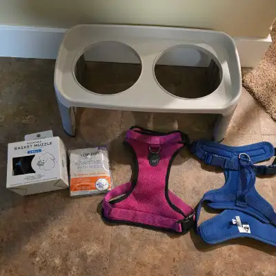 Dog Stuff , View more