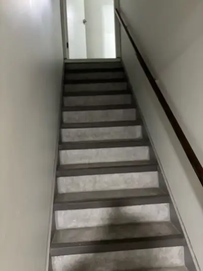 I have one room available in basement in Millwoods . Near town centre close to Lakewood transit stat...