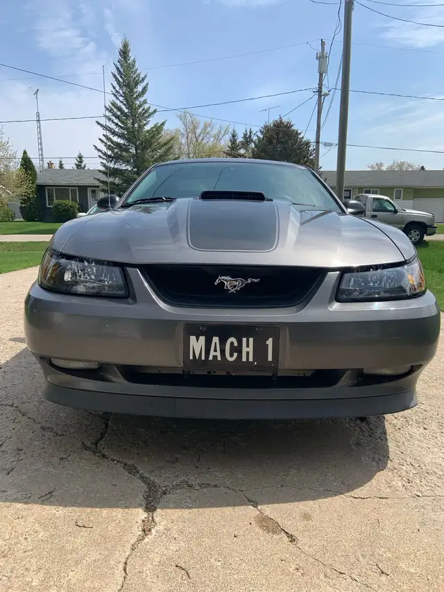 2003 Mustang Mach 1