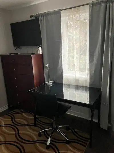 Large, spacious fully furnished room in a quiet, clean house in Orléans. House was recently complete...