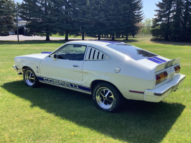 1977 Ford Mustang Cobra II in Classic Cars in Red Deer - Image 2