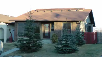 Big windowed basement room for rent in Calgary