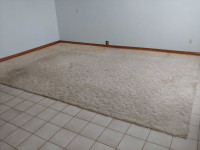 Beige Carpet 