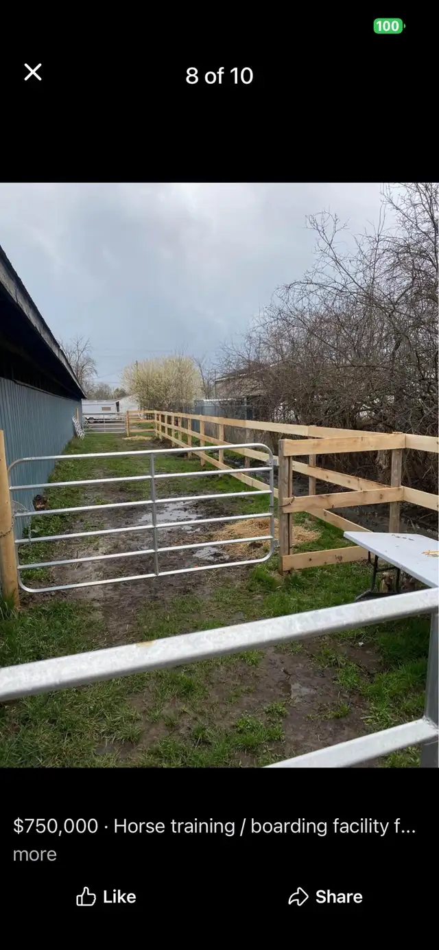 Horse training facility (Ft Erie) sale or lease