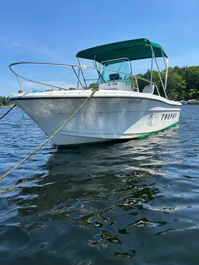 19 foot Trophy CC with 2016 Mercury Optimax 150 HP outboard motor (low hours,400 approx) Hummingbird...