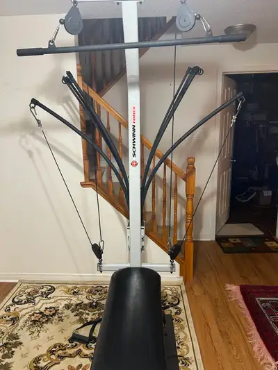 The Schwinn Force is a home gym similar to BowFlex. It utilizes power rod technology. My favorite ex...