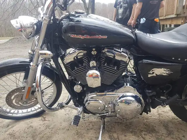 2004 harley davidson sportster in Street, Cruisers & Choppers in Muskoka - Image 7