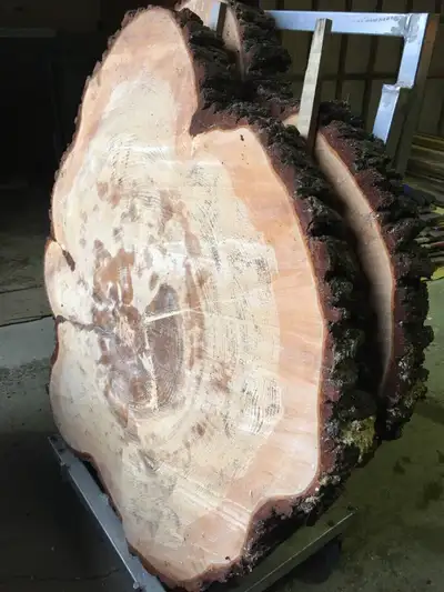 Tranche d’arbre en pin, View more