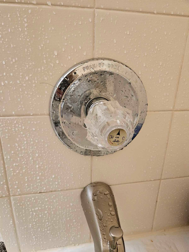 Shower faucet replacement in Plumbing, Sinks, Toilets & Showers in Hamilton