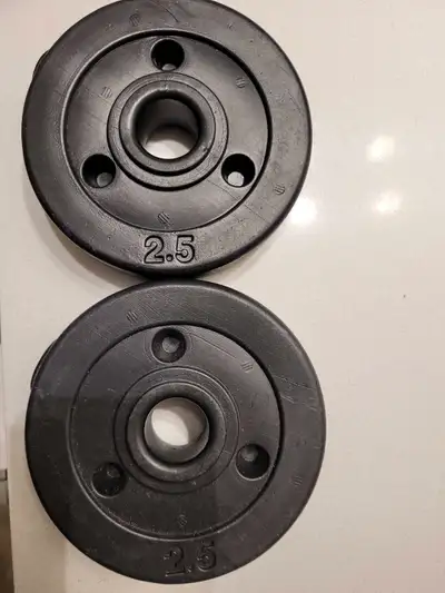 2- 2.5 lb weights with 2" hole depth for pole if needed . They have been used gently but looked afte...