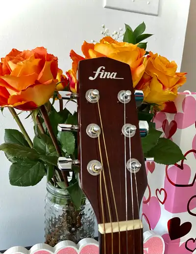 Fina Dreadnaught Acoustic Guitar, View more