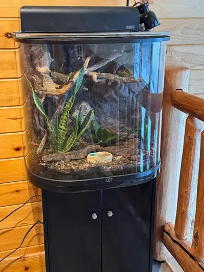 Bioactive Terrarium, View more