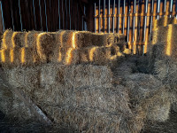 Square Bales Of Hay 