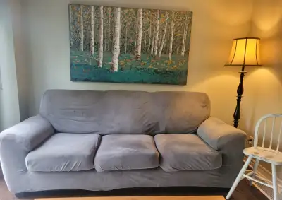 Free Couch!, View more