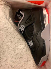 Reimagined Bred 4