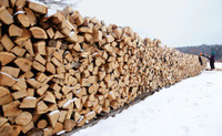 Dry Firewood for sale! 95$ per facecord 