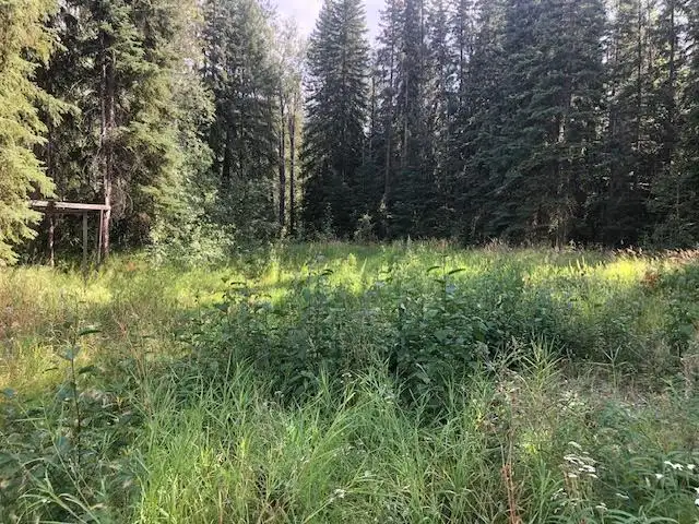 Lot for Sale in Rock Creek in Land for Sale in Whitehorse - Image 6