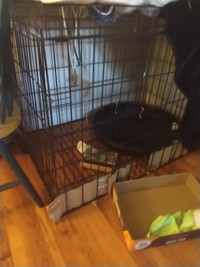 Dog cage. Need gone asap. Best offs