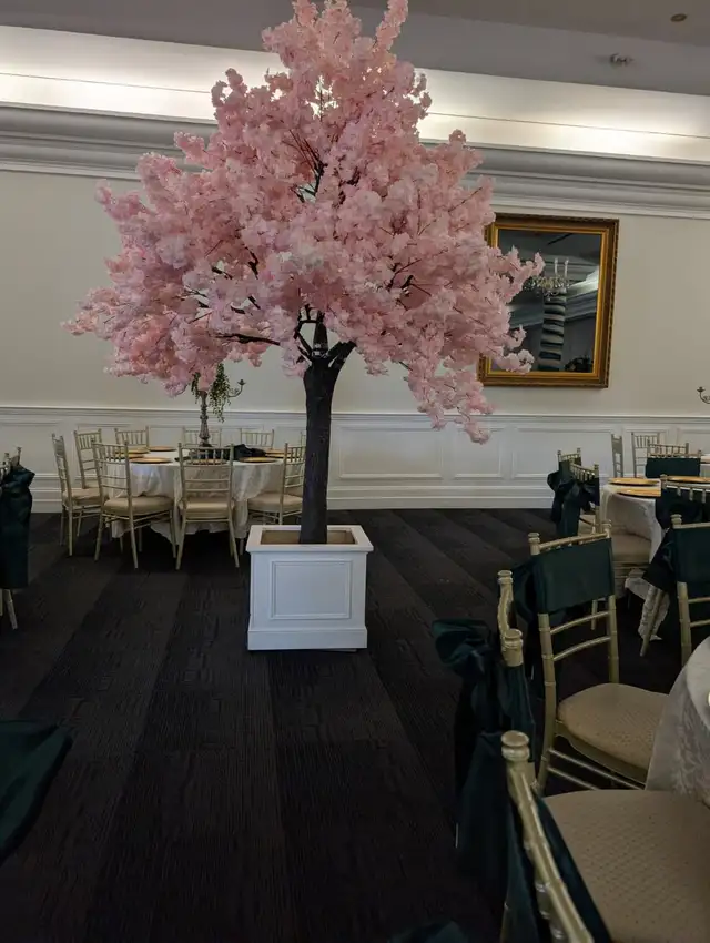 Luxury Cherry Blossom Trees | Straight, Arched & Weeping Styles in Home Décor & Accents in Mississauga / Peel Region - Image 8