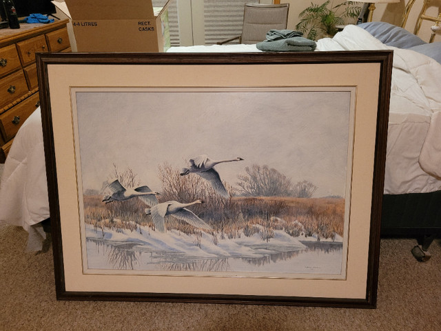 "TUNDRA SWANS AT LONG POINT"  by Randall Wilson in Arts & Collectibles in Norfolk County