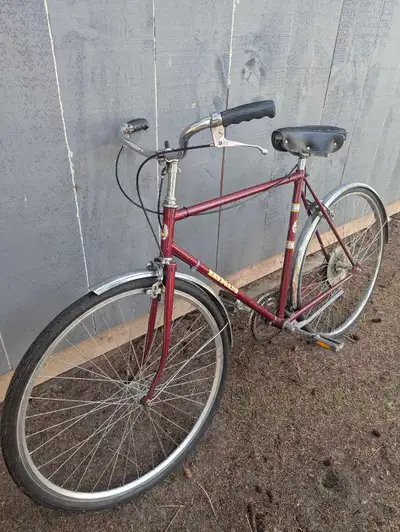 Vintage Renegade Cruiser Bike, View more