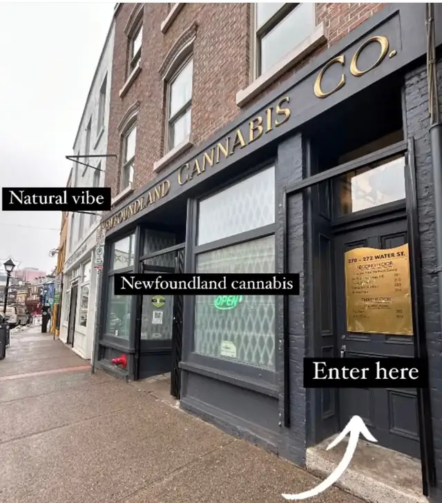 Chic Socials NL in Activities & Groups in St. John's - Image 9