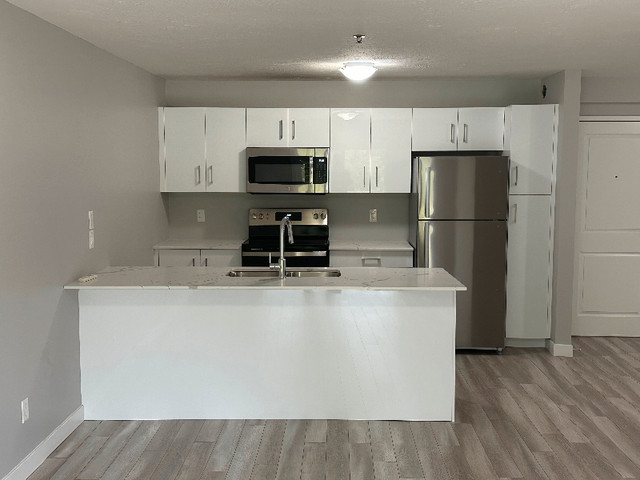 BRAND NEW APARTMENT BUILDING - ULTRA-INCLUSIVE RENT in Long Term Rentals in Moncton