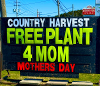 Free Plants for Mom