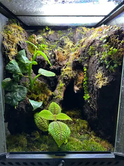 Hello! I am currently working with over 50+ species of plants at the moment! Some serve as specializ...