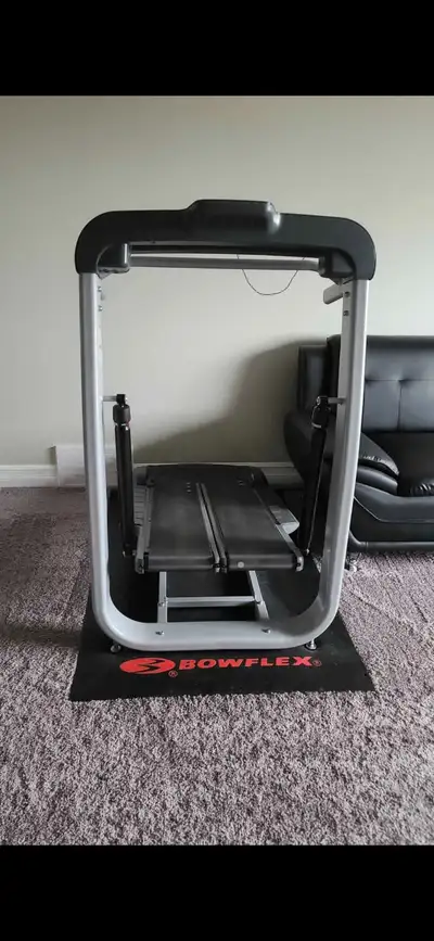 In good condition. Moved and dont have space for it.