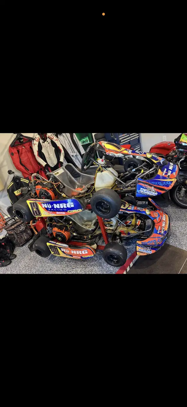 go kart - many available!! in Other in Kitchener / Waterloo - Image 8