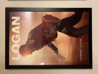 Framed Original Double Sided International One Sheet Poster Not Dry Mounted