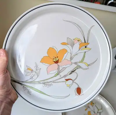 Carico Casual Collection Serenity Dinner Plates, 10.5" - Set of , View more